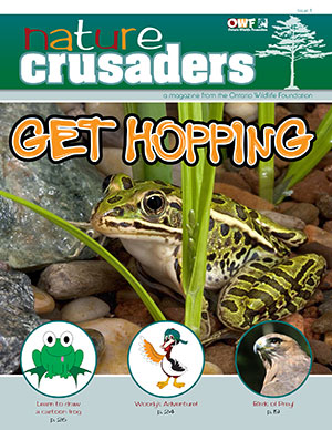 issue1