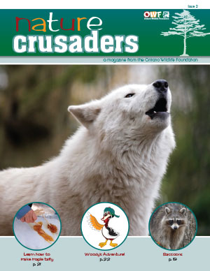 issue2_cover-thumbnail