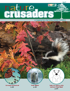 naturecrusaders_issue5-coverthumbnail