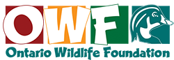 Ontario Wildlife Foundation Logo