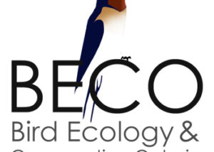 BECO - Bird Ecology and Conservation Ontario