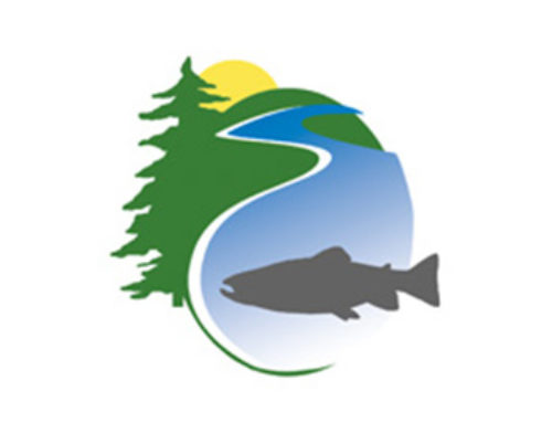 Community Stream Stewardship Program