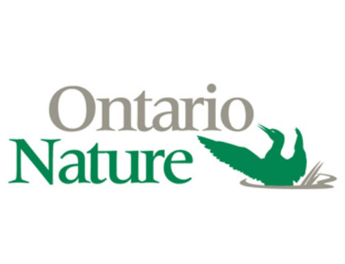 Ontario Nature