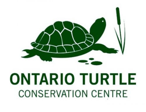 Ontario Turtle Conservation