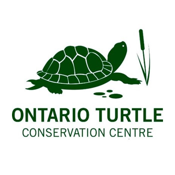 Ontario Turtle Conservation Centre Ontario Turtle Conservation Centre