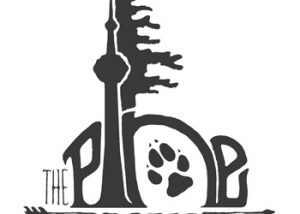 The Pine Project