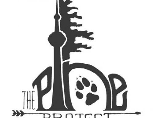 P.I.N.E. Project
