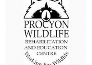 Procyon Wildlife Rehabilitation & Education Centre
