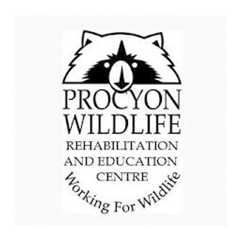 Procyon Wildlife Rehabilitation & Education Centre