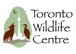 Toronto Wildlife Centre