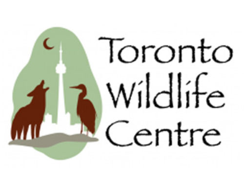 Toronto Wildlife Centre