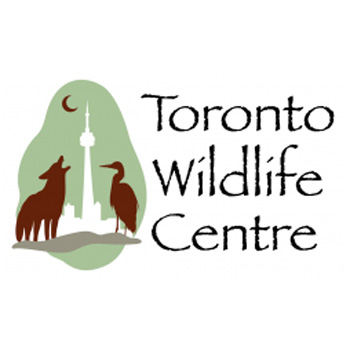 Toronto Wildlife Centre