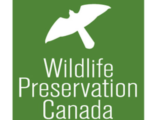 Wildlife Preservation Canada