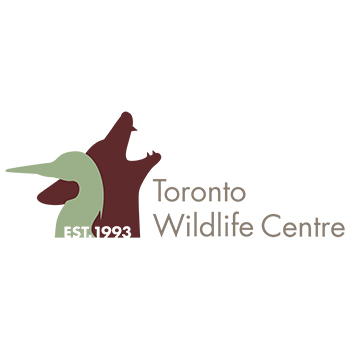 Toronto Wildlife Centre Toronto Wildlife Centre