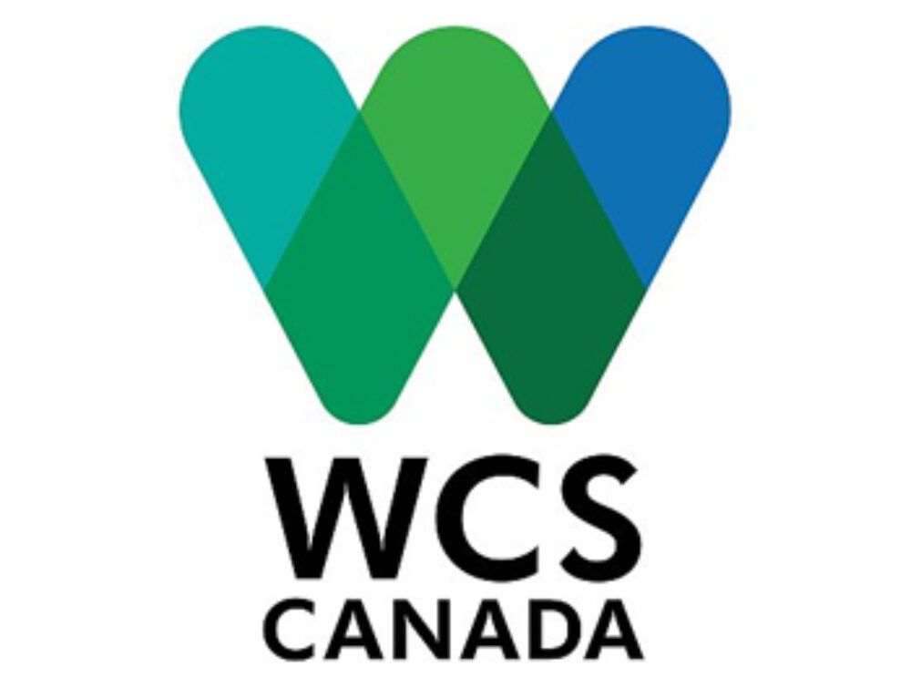 Toronto Wildlife Centre – Ontario Wildlife Foundation