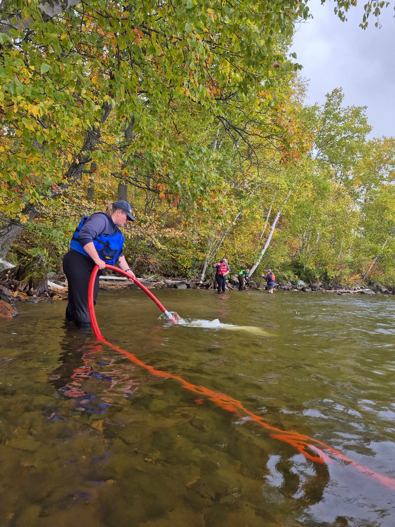 Watersheds Canada Watersheds Canada