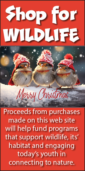 Shop for Wildlife