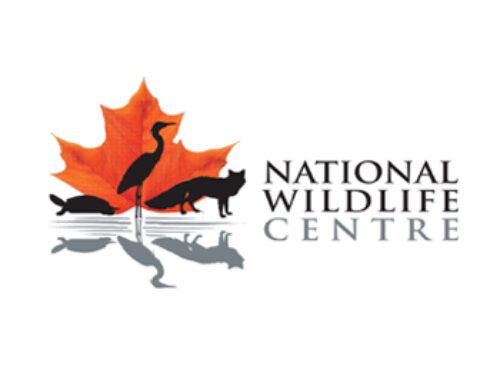 National Wildlife Centre