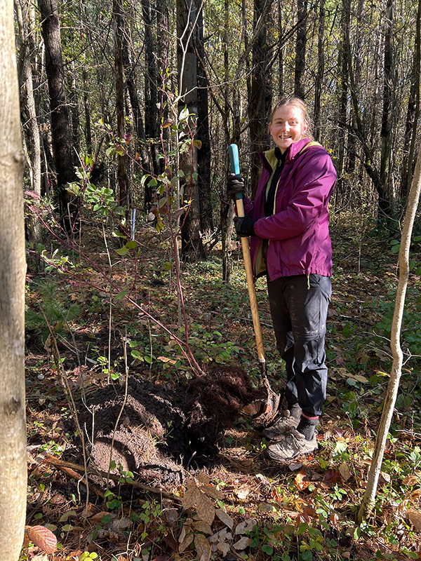 Ontario Nature Invasive Species Removal