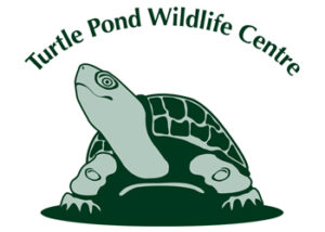 Turtlle Pond Wildlife Centre
