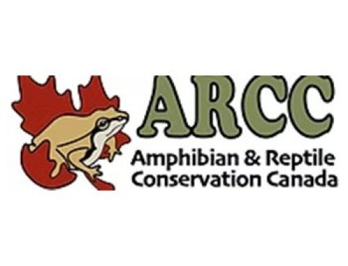 Amphibian and Reptile Conservation Canada