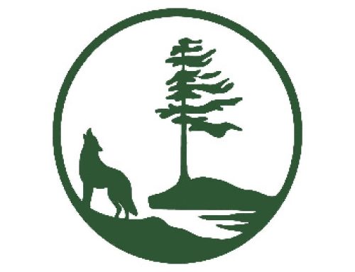 Earthroots